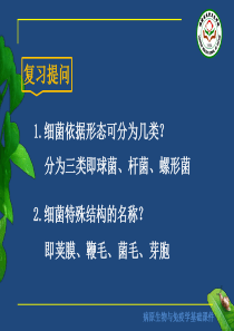 细菌的生长繁殖与变异