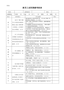 新员工试用期考核表