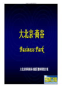 北京休闲商务功能区整体策划方案(pdf 129页)