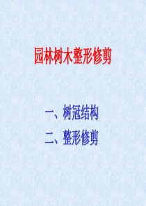 园林树木整形修剪培训资料PPT(共-64张)