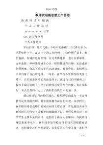 教师试用期思想工作总结