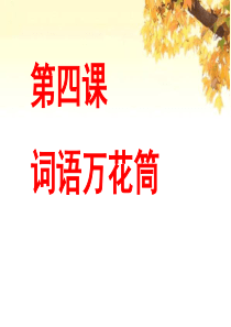 《词语万花筒》(全)