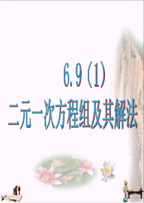 上海市松江区六年级数学下册-6.9-二元一次方程组及其解法(1)优秀PPT课件-沪教版五四制