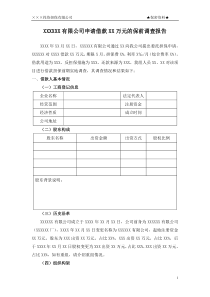 投资担保业务调查报告模板