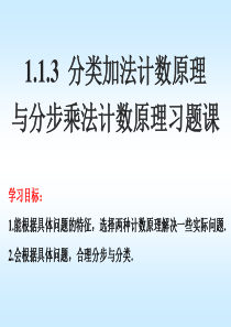 1.1.3分类加法计数原理和分步乘法计数原理习题课