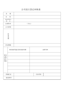 公司设立登记审核表