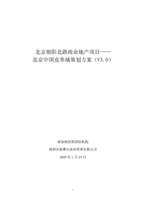 北京朝阳北路专业市场项目中国皮革城策划方案