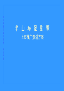 半山海景别墅上市推广策划方案