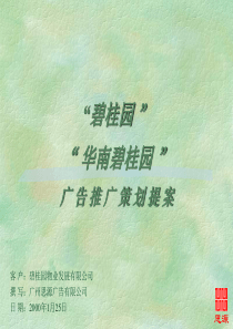 华南碧桂园广告推广策划提案(1)