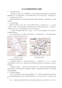 动力总成悬置设计流程