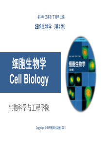 第1章--绪论细胞生物学(翟中和第四版)模板