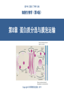 第8章--蛋白质分选与膜泡运输