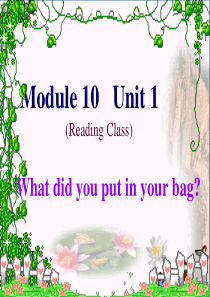 五年级英语下册Module10Unit1《Whatdidyouputinyourbag》-精选教学P