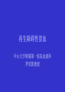 再生障碍性贫血.PPT