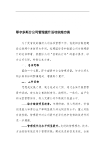 管理提升实施方案-人力资源管理-经管营销-专业资料