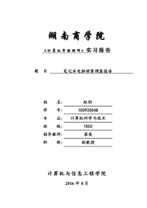 计算机市场调研报告资料