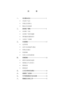 南京银河国际广场策划报告(DOC 38页)