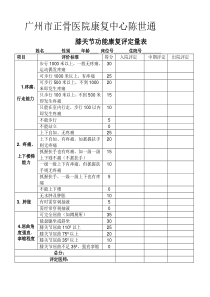 膝关节评定量表