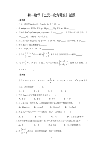 初一数学二元一次方程组试题及答案