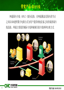 产品介绍－国内专线(2)