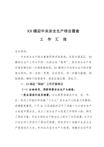 XX镇迎中央安全生产综合督查工作表态发言