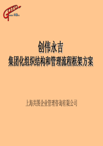 创伟集团组织结构和管理流程框架方案