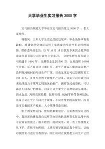 大学毕业生实习报告3000字