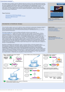 Pull-Down-Assays