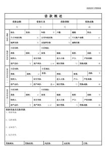 配资借款概述表