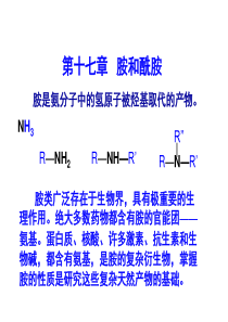 第十七章-胺和酰胺