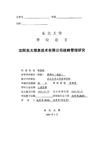 沈阳东大信息技术有限公司战略管理研究