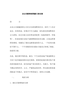 含谷凟墅专案策划方案初案（DOC 9页）