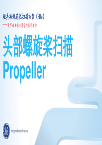 01.HDe8.Propeller规范化扫描方案