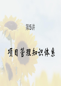 第5讲-项目管理知识体系