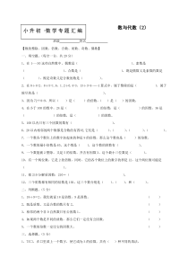 小升初数学知识点专项训练：专题---数与代数(含答案)--