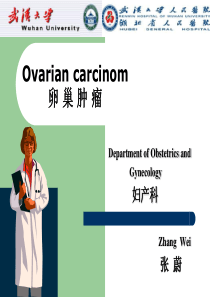 2019年Ovarian-carcinom-卵巢肿瘤.ppt