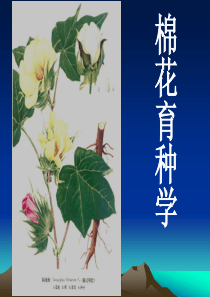 棉花育种学