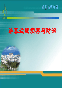 6路基边坡病害设计与施工(ppt)