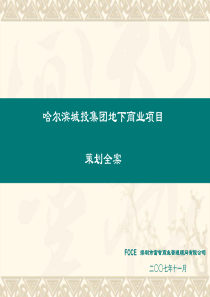 哈尔滨XX集团地下商业项目策划全案(1)