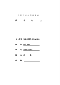 智能电网及其关键技术