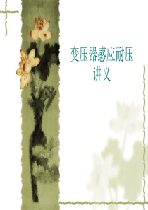 变压器感应耐压讲义全