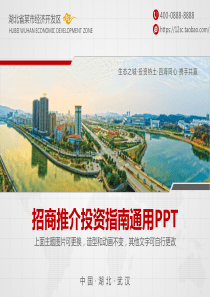 商业策划计划书_09（PPT33页)