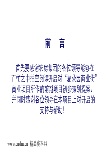 商业街策划报告(ppt83页)