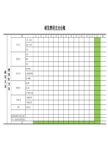 研发支出费用台账