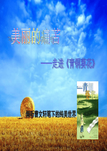 青铜葵花课件