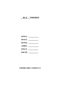 锅炉年度检查报告