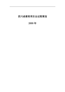 四川成都某项目全过程策划