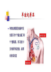 起搏器心电图分析