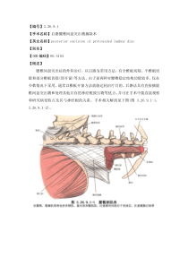 手术-3.26.9.1-后路腰椎间盘突出物摘除术