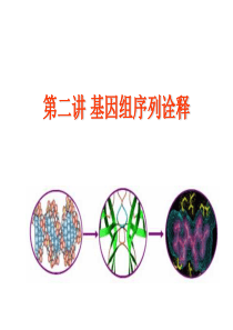 功能基因组学